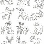 Antlers and Horns Block - ACAHB - Collection of 12