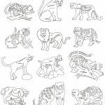 Big Cats Block - ACCB - Collection of 12