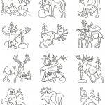 Backwoods Block - BWB - Collection of 12