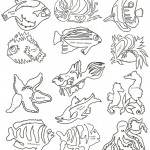 Fishy Business Block 1 - FBB1 - Collection of 12