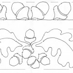 OAK-border-center-view