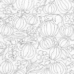 Pumpkin Patch 11" - Whole