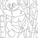 Panda Bamboo - Closeup