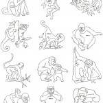 Primates Block - ACPB - Collection of 12