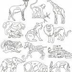 Safari Block - SB - Collection of 12