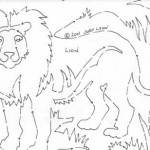 Safari - Closeup