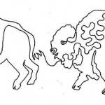 Great Plains - Bison