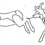 Great Plains - Pronghorns