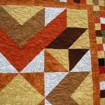 dog patch closeup