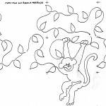 monkey vine