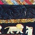 safari night - lion border