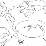 Frog Pond cropped preview lead Frog Pond cropped preview lead